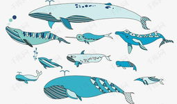 海鱼漫画,海洋生物的趣味演绎