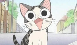 猫动漫画,萌宠与奇幻的奇幻之旅